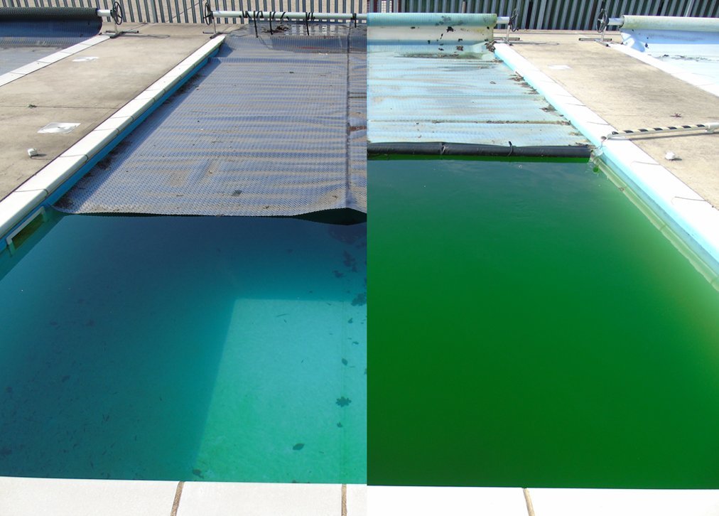 composite image of energyguard and transparent covers on swimming pools. The pool covered with energyguard is quite clear. the pool covered with solguard is green with algae